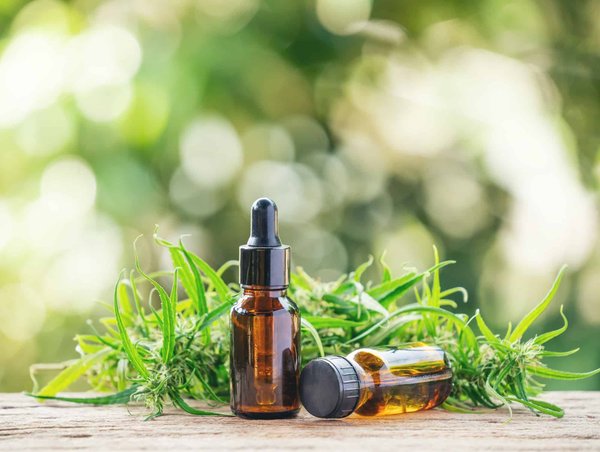 Qu'en est-il du chanvre et maladies neurodégénératives : espoirs et limites ?